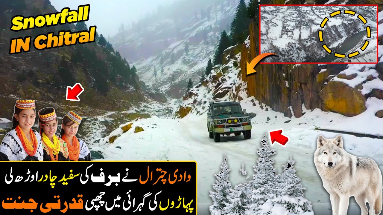 Explore The Stunning Beauty of Chitral Valley After Heavy Snowfall | Snowfall | Discover Pakistan