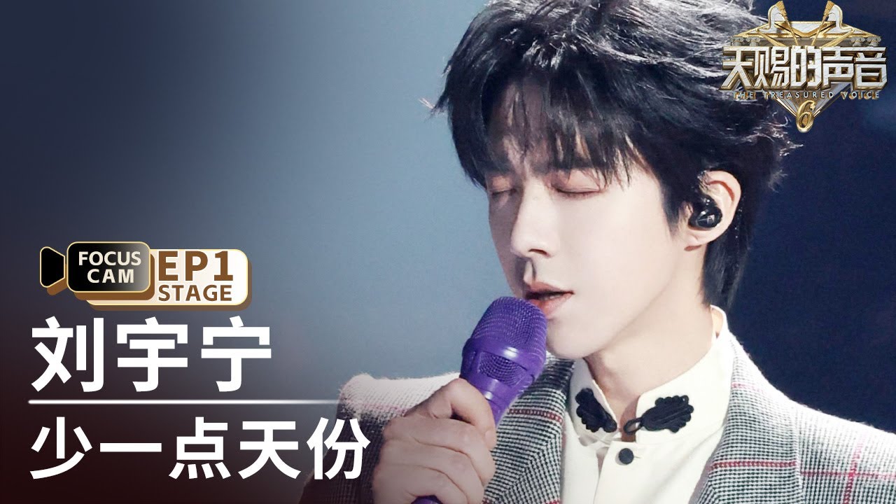 【单人直拍】刘宇宁《少一点天份》 | Focus Cam | #天赐的声音6 EP1 20250418