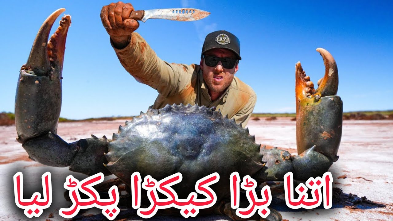 کیکڑا فرینڈ پکڑ لیا / #crabes #beach