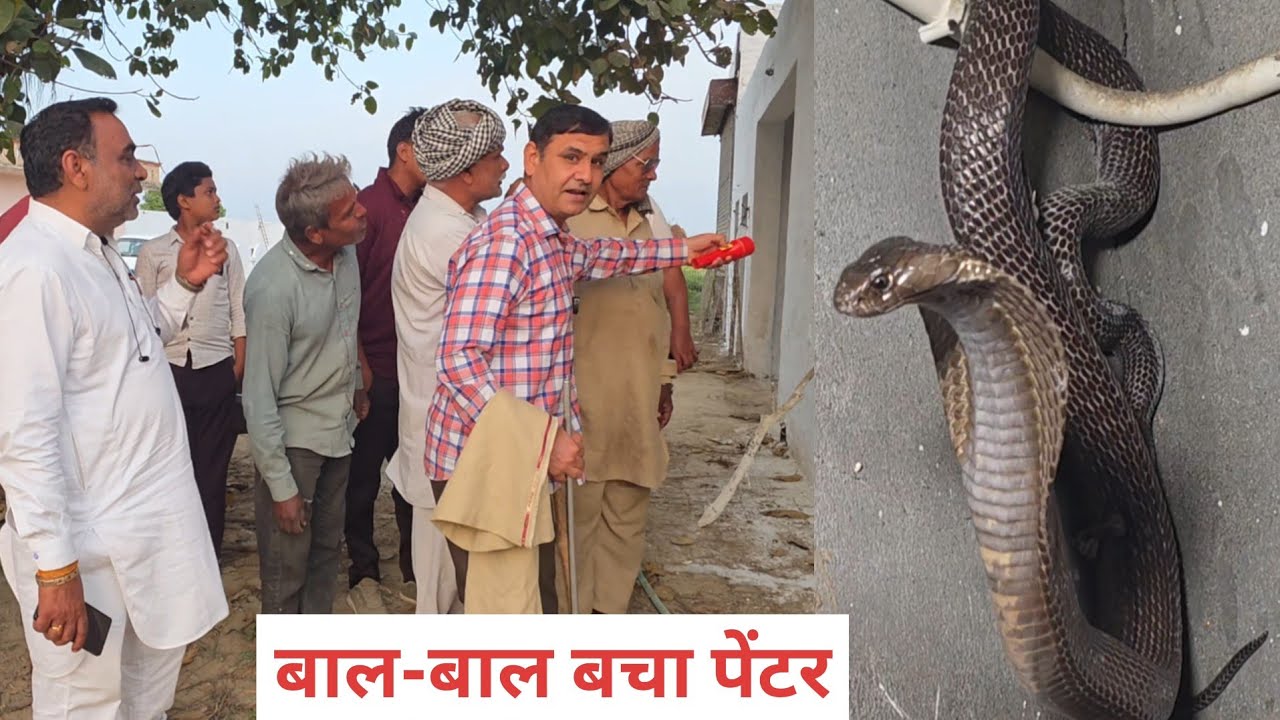 दरवाजे के सहारे चढ़ा सांप पेंटर बाल-बाल बचा /// स्नेकमैन सतीश फफड़ाना 9255130130