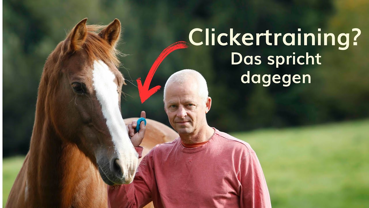 Clickertraining beim Pferd würde ich nie machen. Das sind meine 2 Gründe.