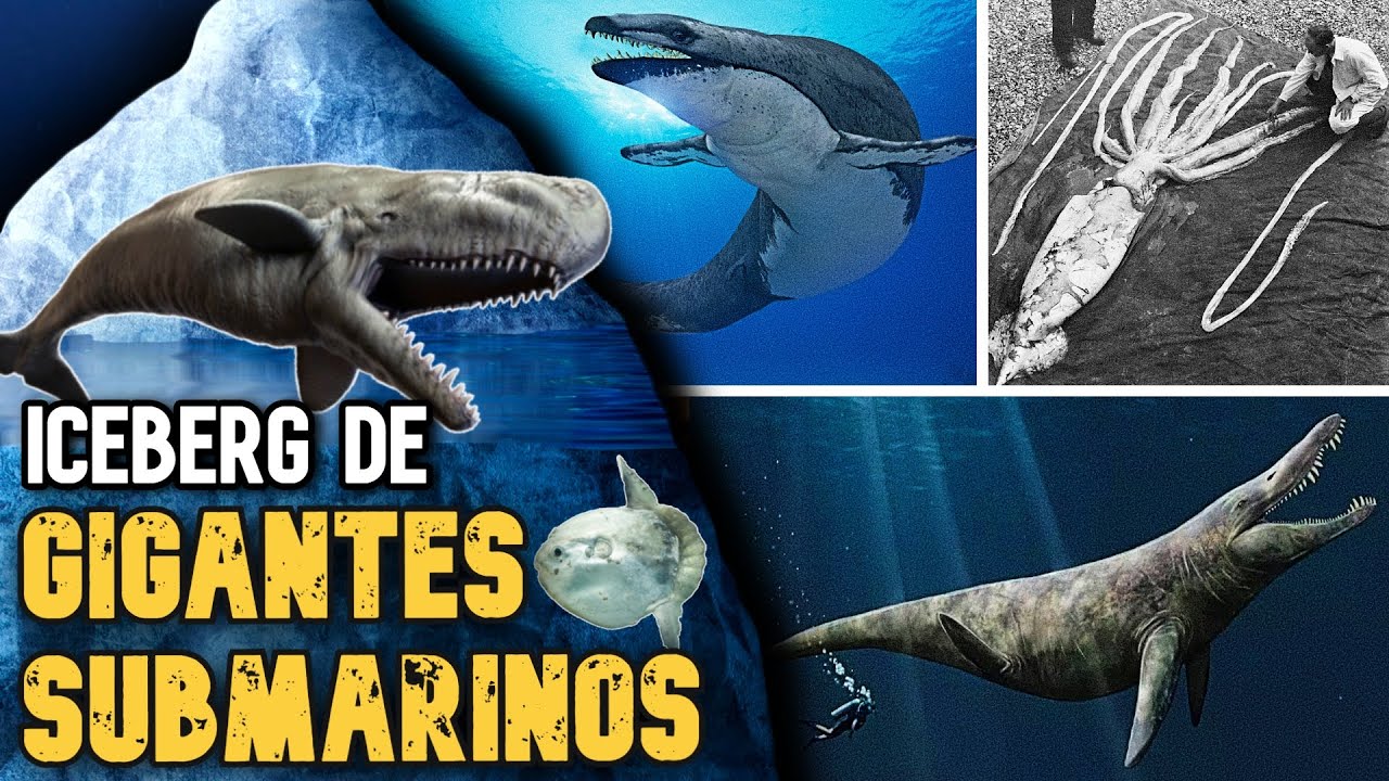 ICEBERG DE LOS ANIMALES SUBMARINOS MAS GRANDES QUE HAN EXISTIDO 🐋