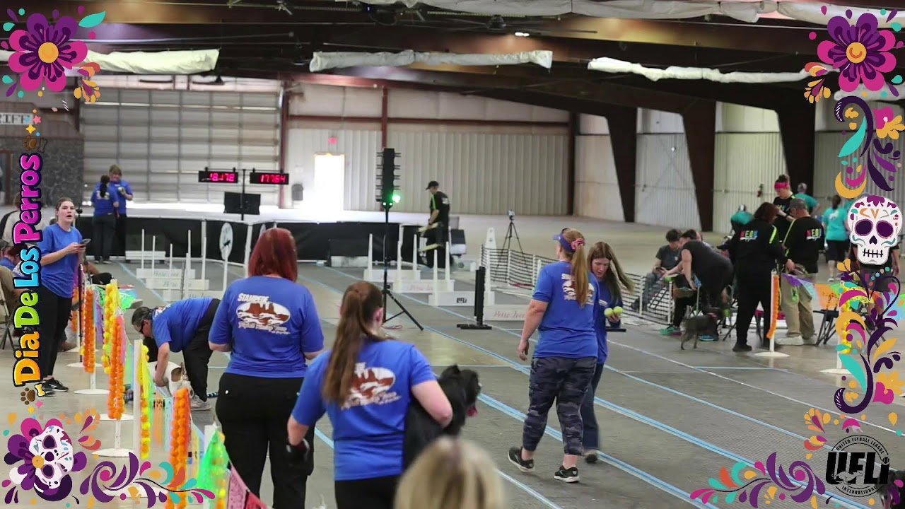Dia De Los Perros Tournament Sunday