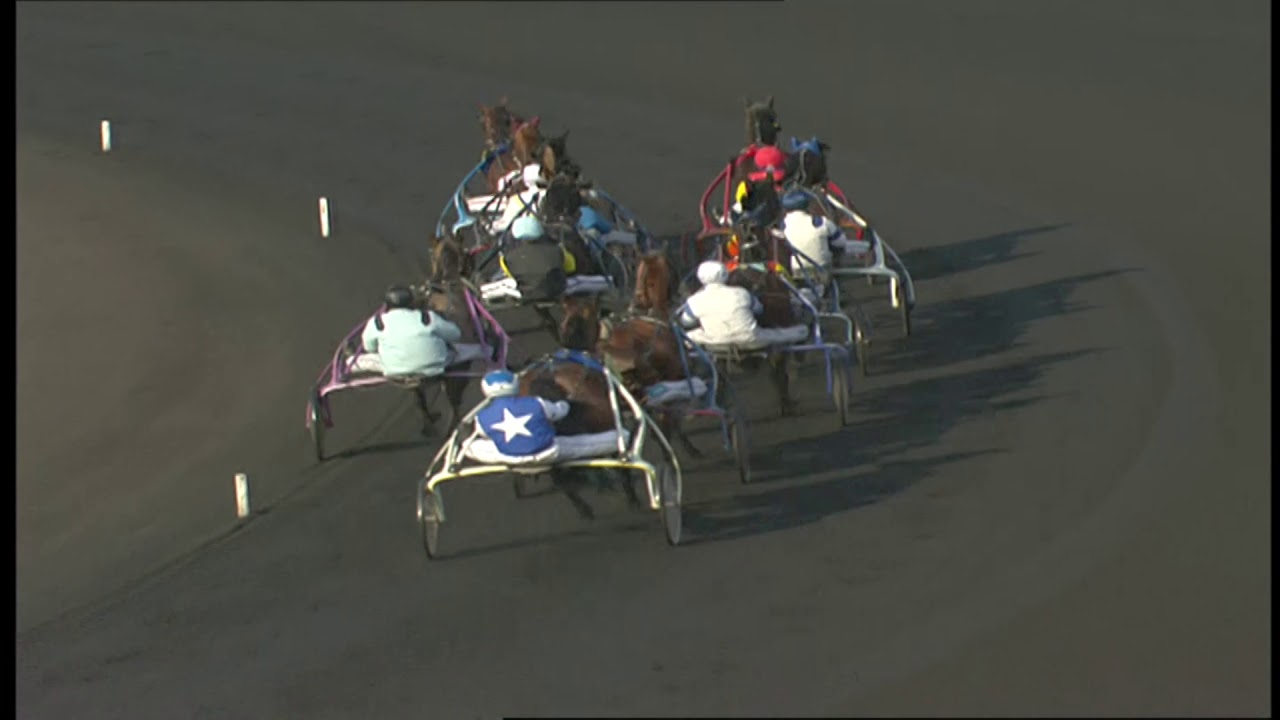 PRIX DE PARIS 2009 - Prince Gédé