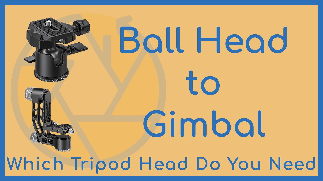 Camera Tripod Heads Explained Every Photographer Should Know (Ball Head, Gimbal Head & More)