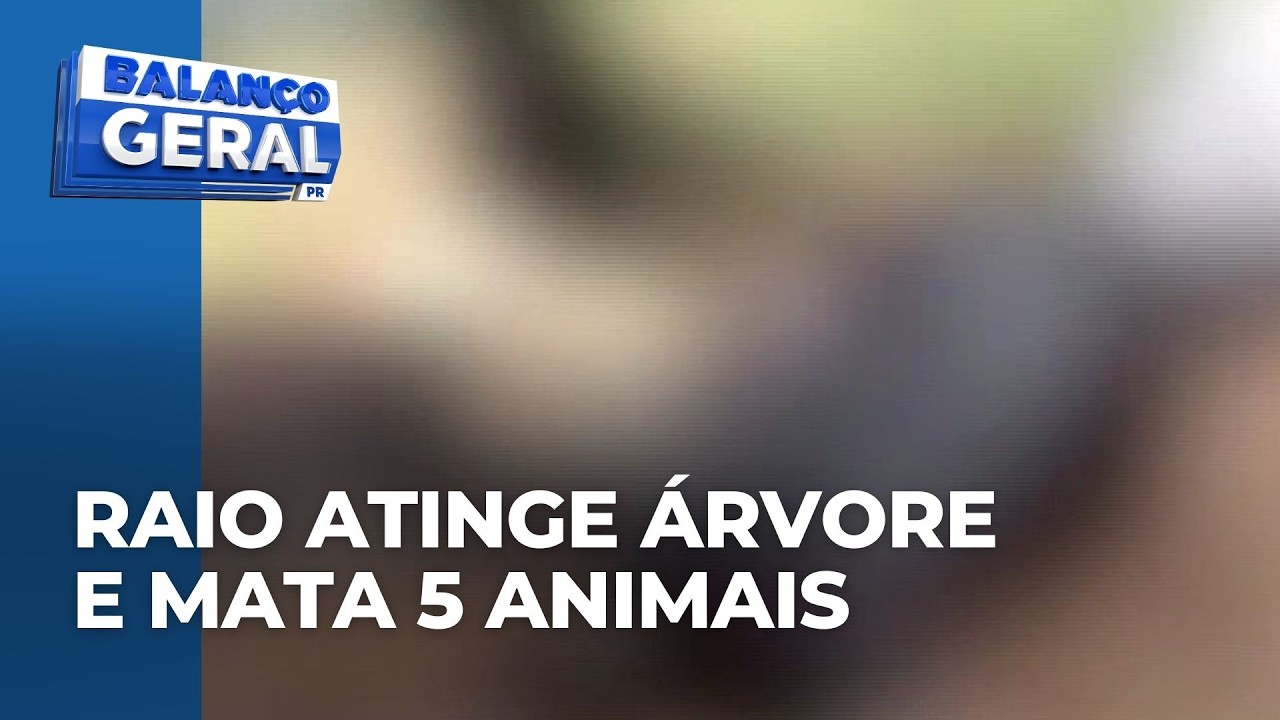 Raio atinge árvore e mata cinco animais durante tempestade: quatro vacas-leiteiras e um touro