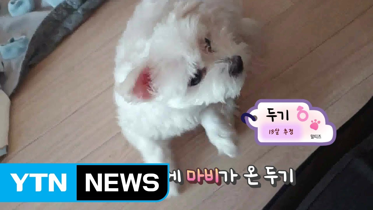 [설채현의 왜 이러는 개냥] 