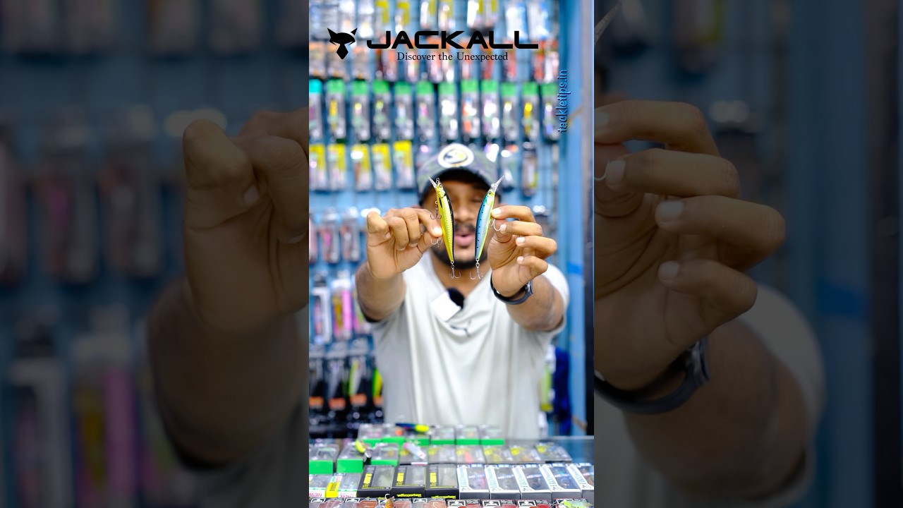 JACKALL LURES NEW COLLECTION! 🎣 Must-Have lures for Every Angler 
