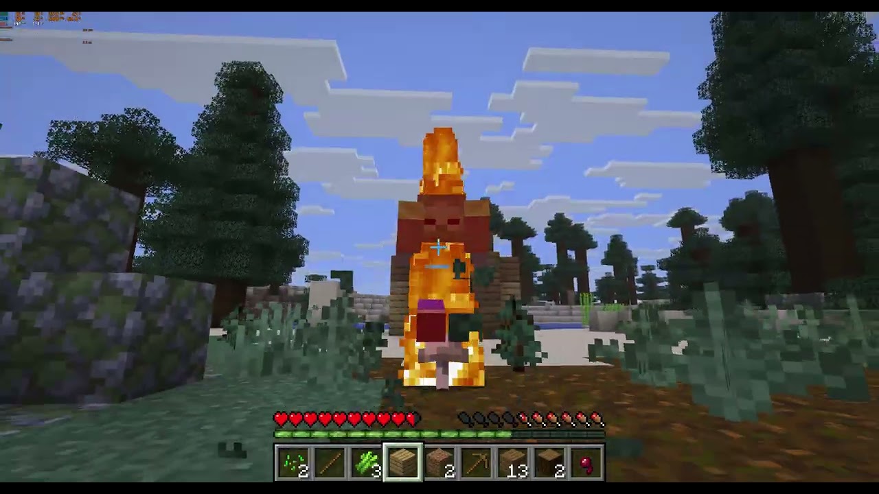 I play Minecraft 3