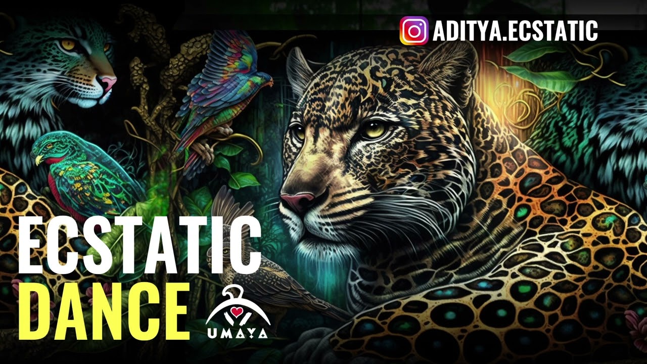 Jungle Medicine! ⚡ Shamanic Journey Ecstatic Dance by Dj Aditya