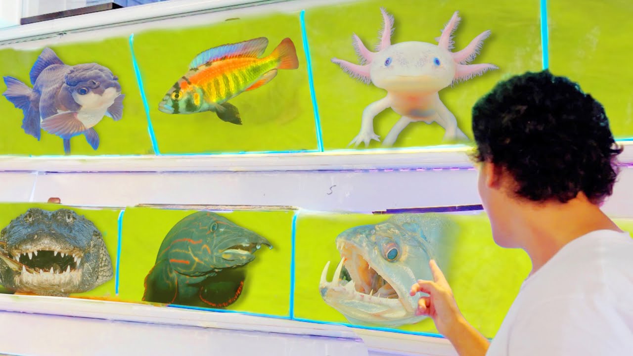 I Bought EVERY RARE FISH I Found!