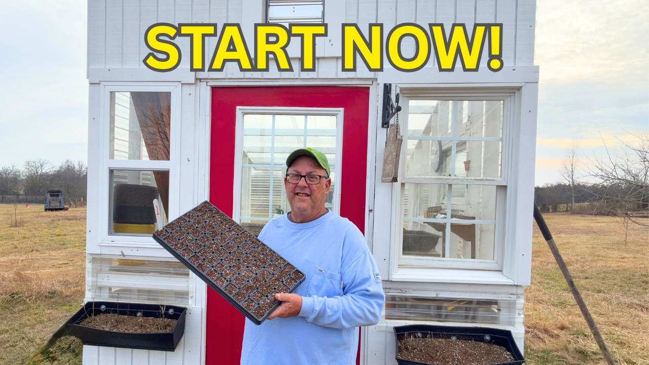 Don’t Wait! The First Seeds I’m Starting for 2026