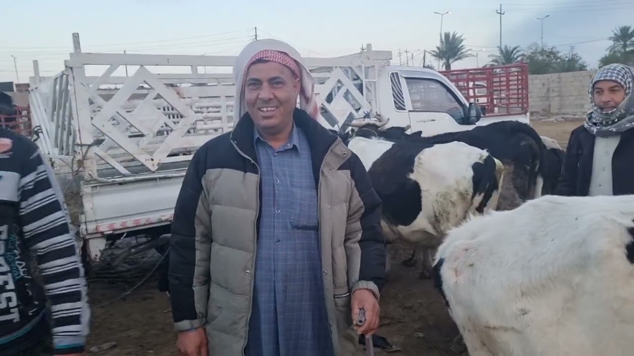 سوق البقر في بغداد جوبه الطيفيه 2023/3/21
