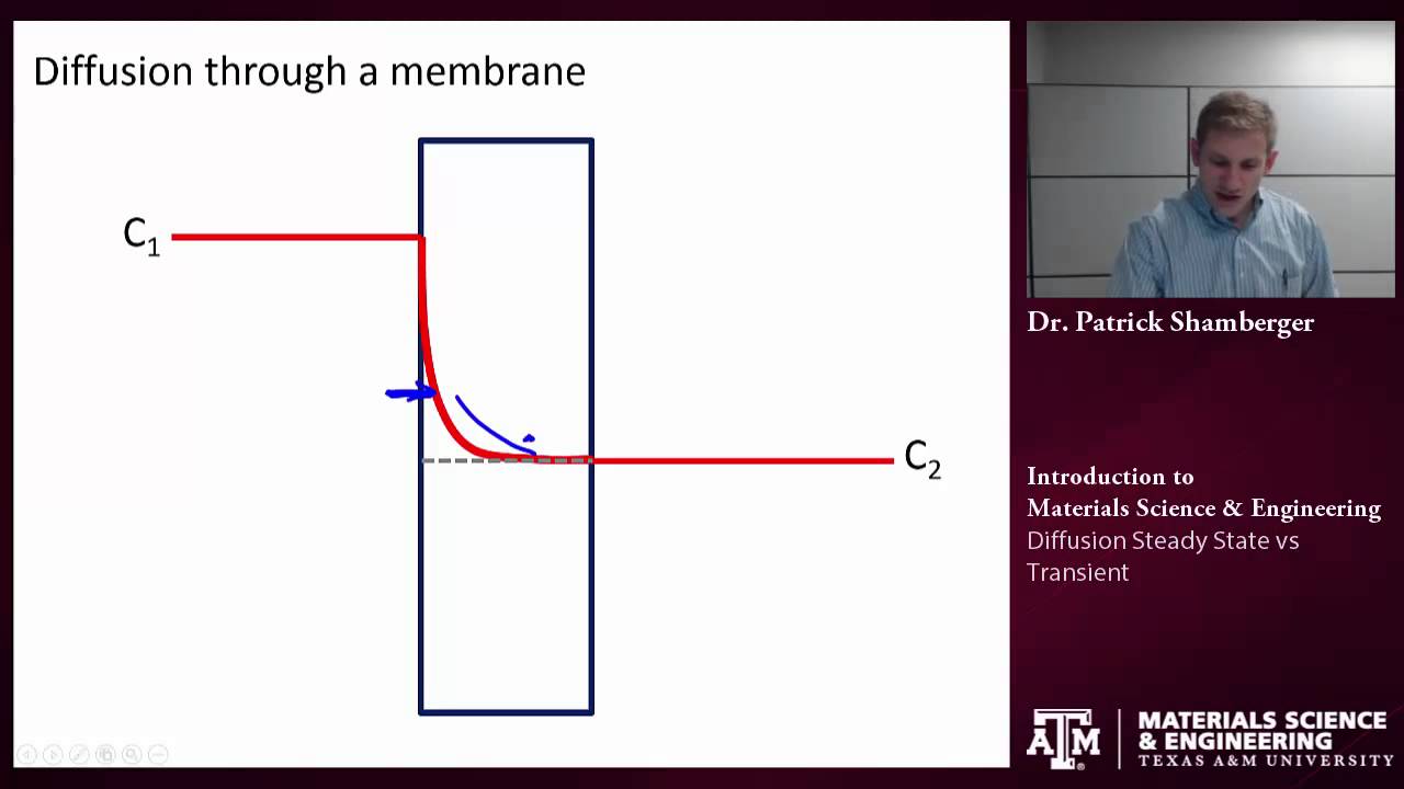 Diffusion: Steady state {Texas A&M: Intro to Materials}