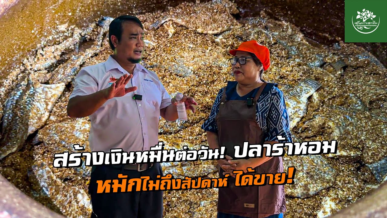 ทำเงินหมื่นต่อวัน! ปลาร้าหอม ส่องดาว สกลนคร หมักไม่ถึงสัปดาห์ ได้ขาย!