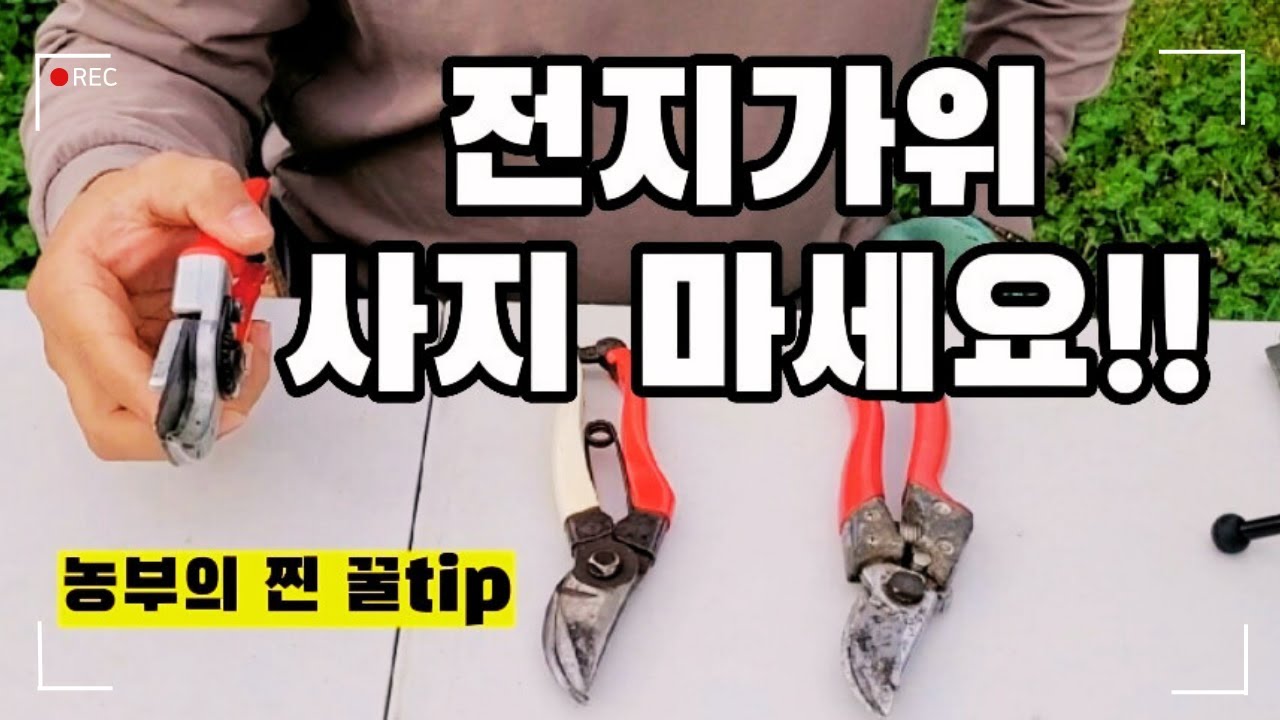 가위 들지않아도 사지 마세요. 전지가위 오래 사용하는 법!!