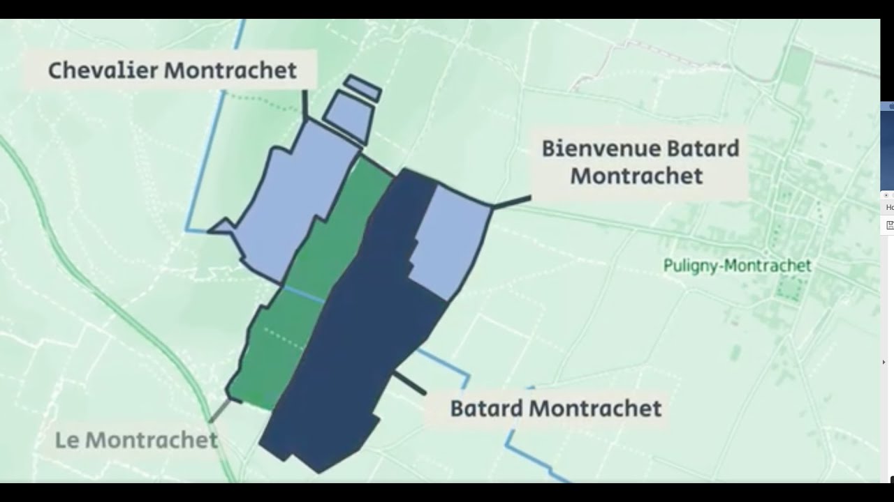 ShareWine Masterclass om Puligny-Montrachet 🇫🇷 Lær om nogle af de allerfineste hvidvine i verden!