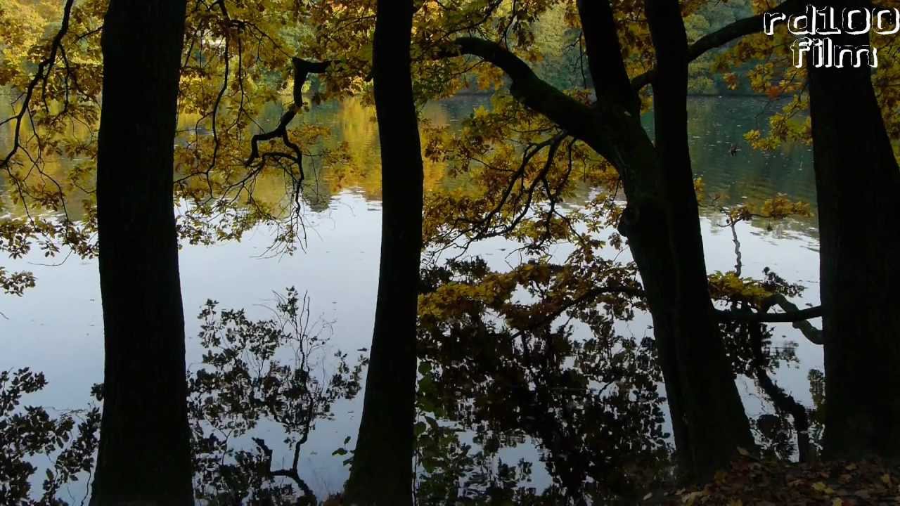 Herbst am Berliner Schlachtensee
