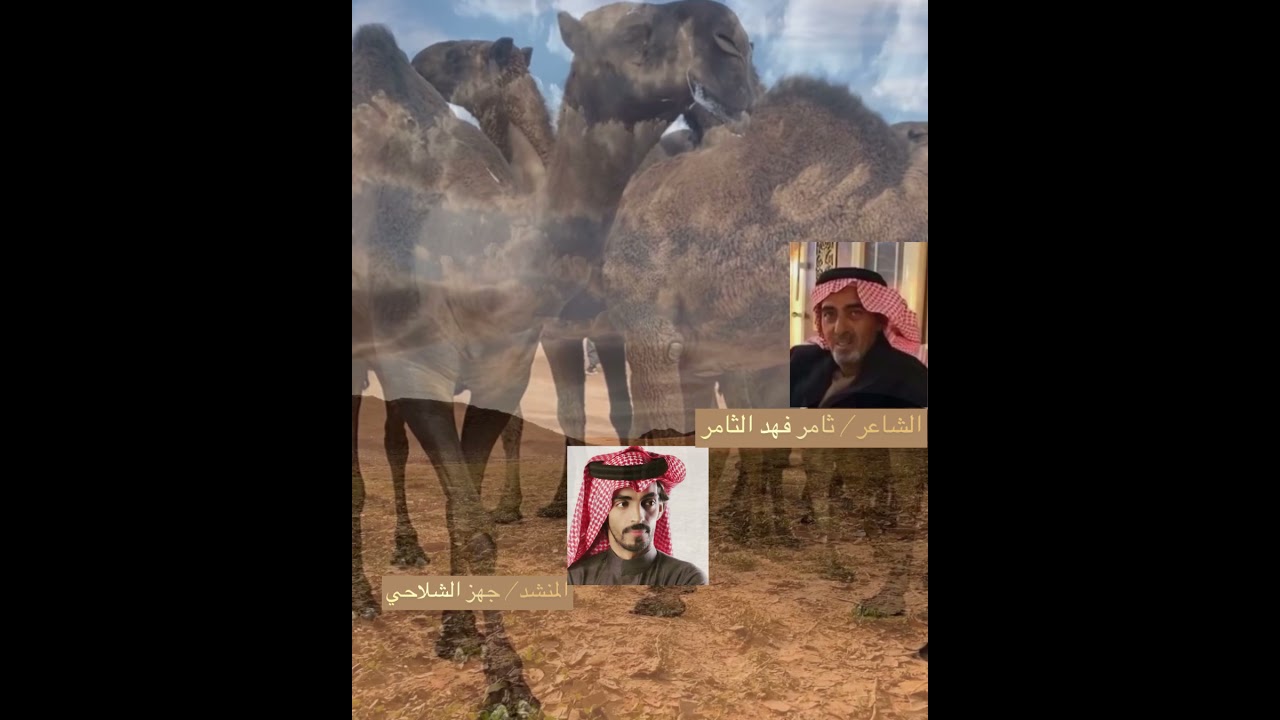 سهيل قرب الشاعر/ ثامر فهد الثامر المنشد جهز الشلاحي
