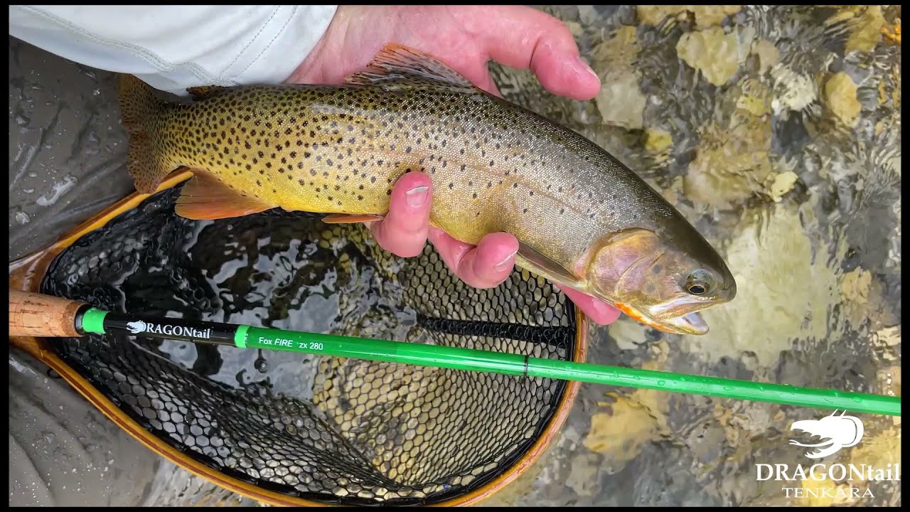 Short Video #2 of the FoxFIRE Fiberglass Tenkara Fishing Rod