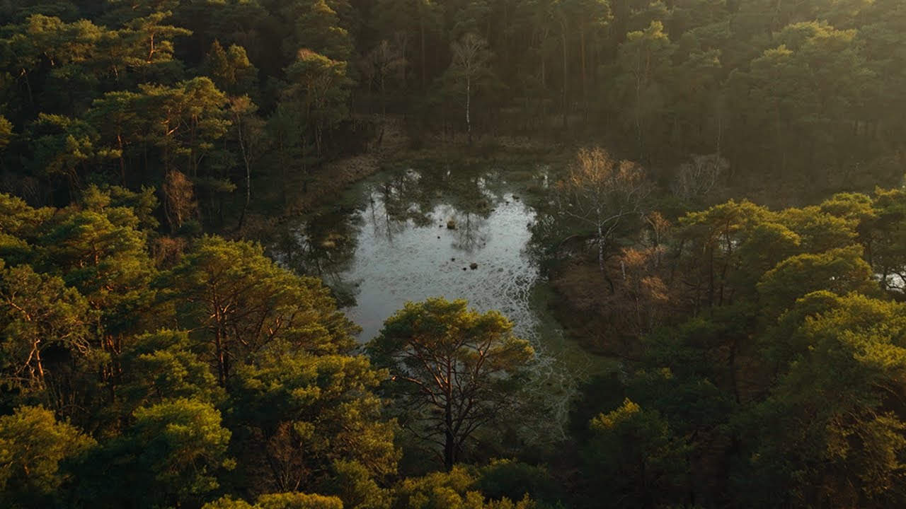Beautiful dutch nature in Beetsterzwaag - Cinematic drone reel