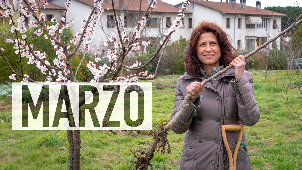ORTO A MARZO. PRIMAVERA AL BOSCO DI OGIGIA E PRIME FIORITURE 🌸