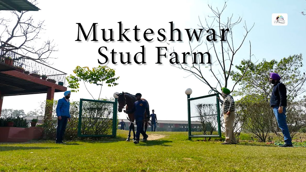 Mukteshwar Stud Farm