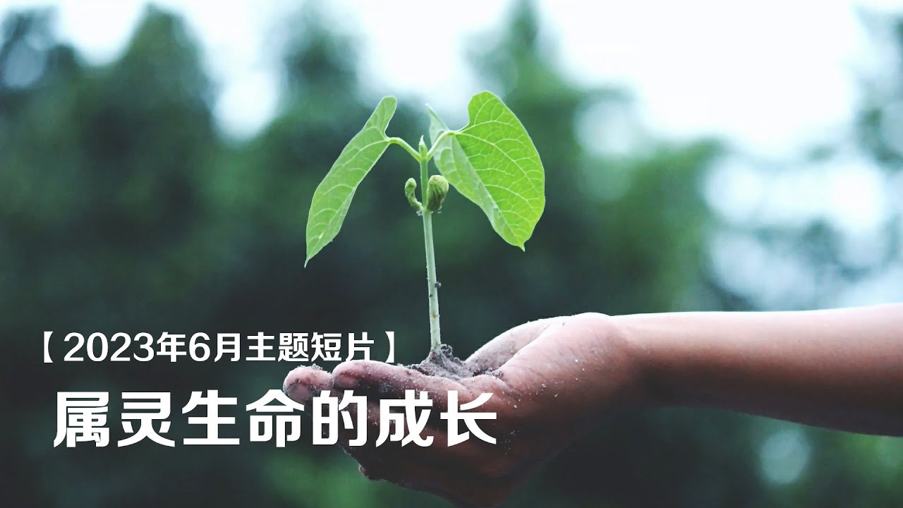【2023年6月主题短片】属灵生命的成长