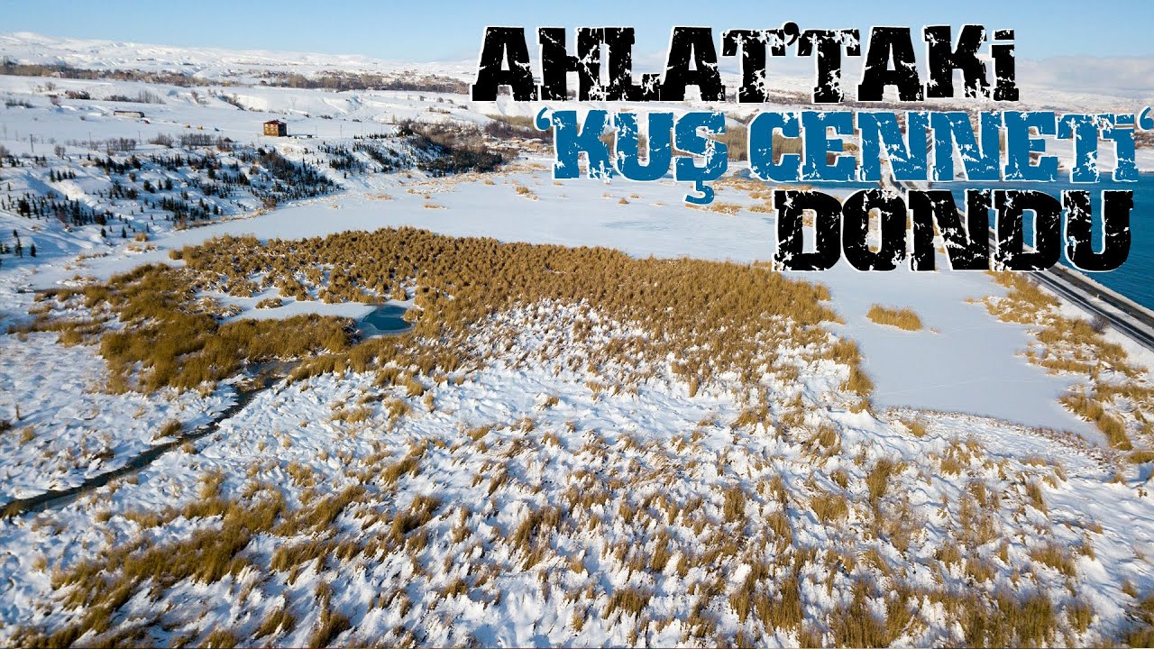 Ahlat’taki Kuş Cenneti Dondu, Manzara Havadan Görüntülendi