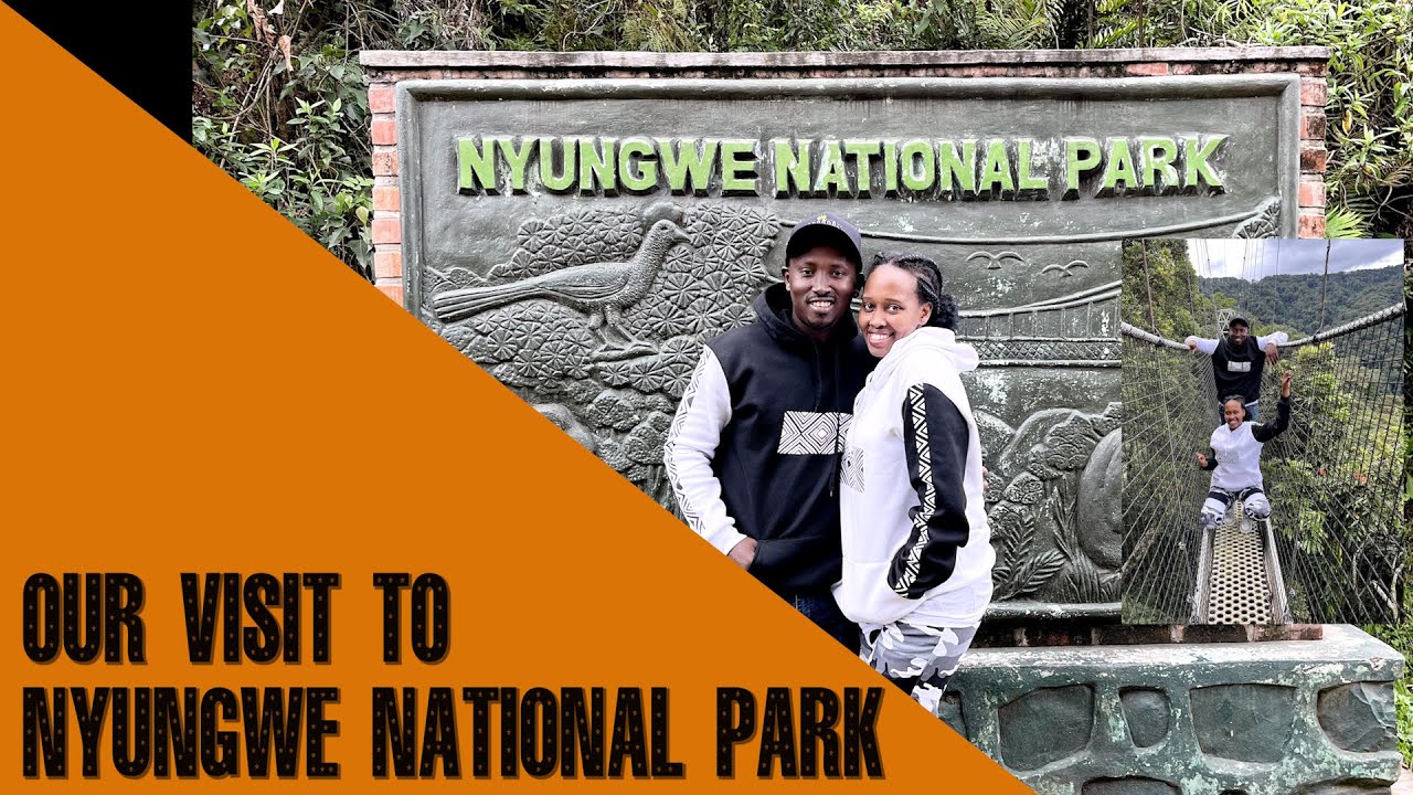 Our Visit To NYUNGWE National Park - Canopy Walkway