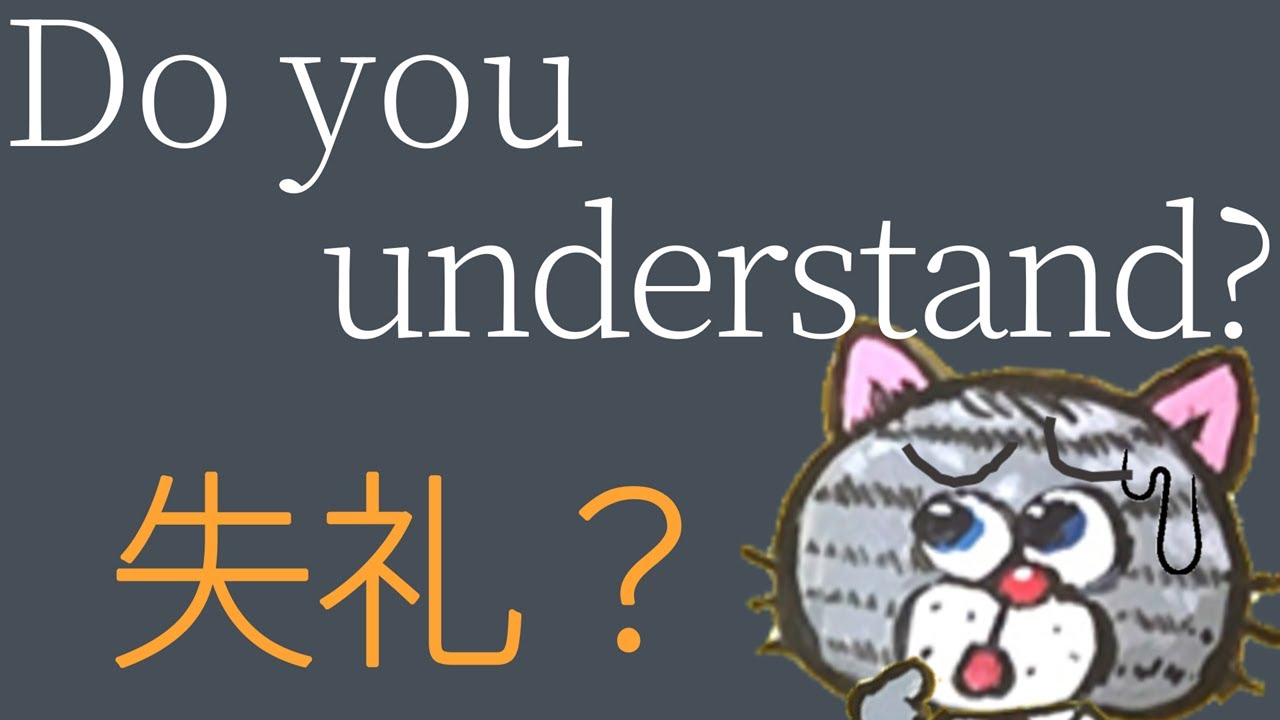 【学校では教えてくれない英語】“Do you understand?” は本当に失礼なのか