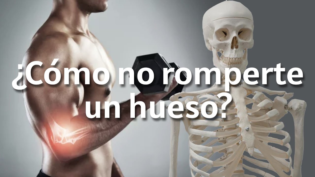 ¿Por qué los HUESOS necesitan EJERCICIO?