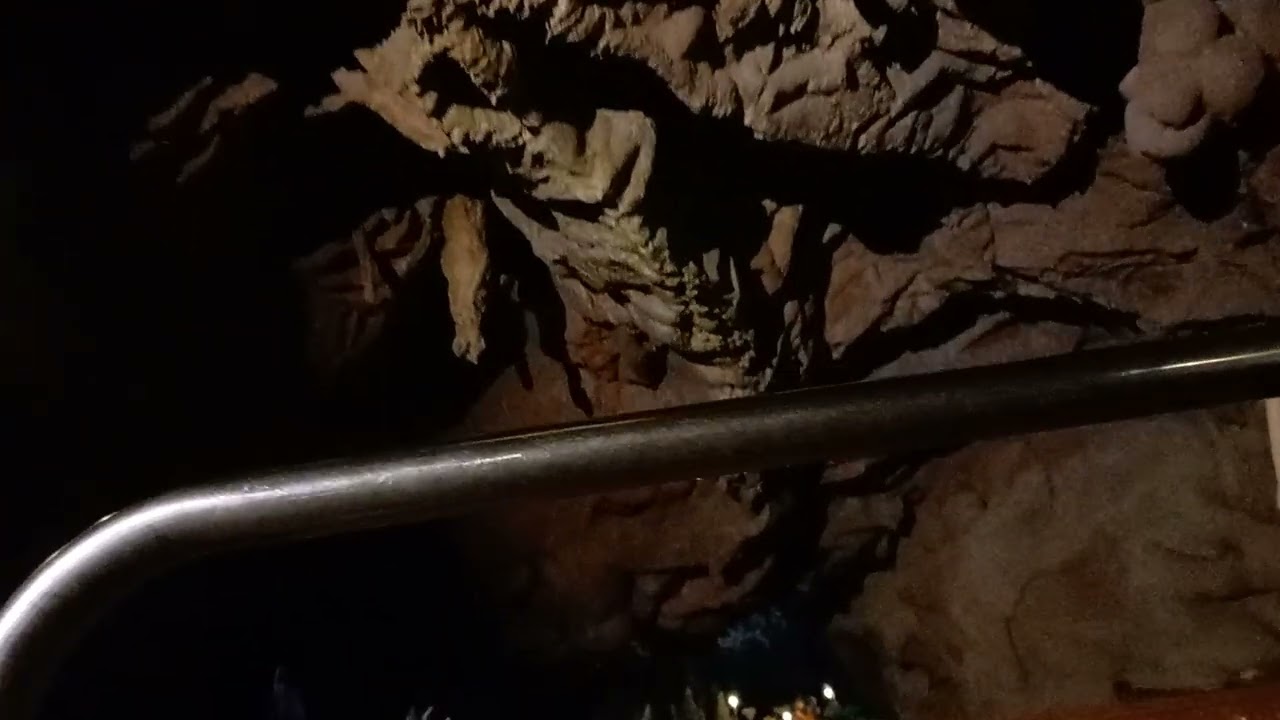 La forêt de plop plopsaland de panne 29 AVRIL 2025