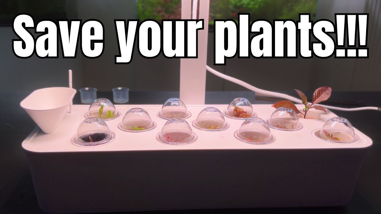 Has IKEA Created the Best Aquarium Product Ever???
