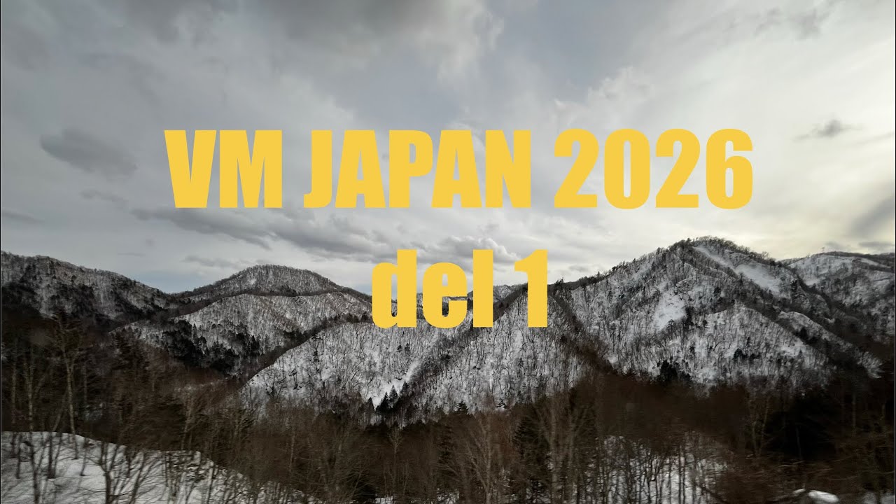 SkidO-VM 2026 #1