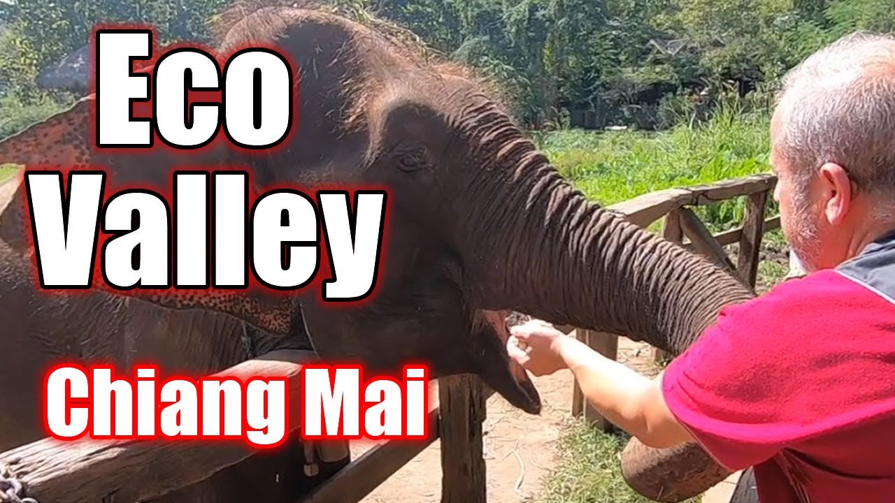Eco Valley, DISFRUTANDO con ELEFANTES en LIBERTAD!! Tailandia.