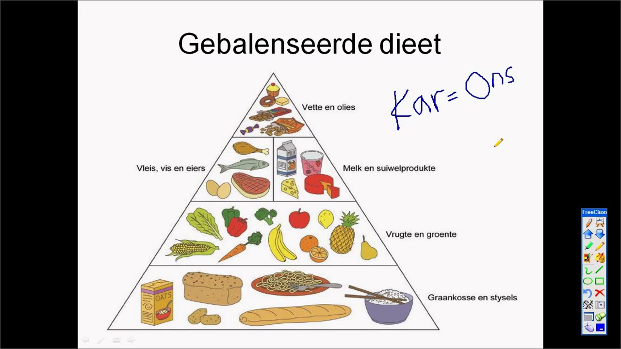 Graad 6 Nwt Kwartaal 1 2021 Voeding