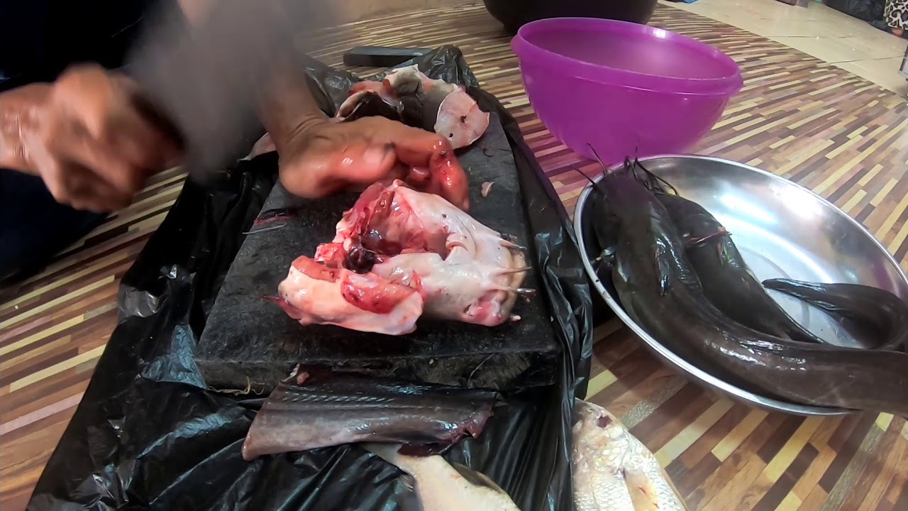 Merawai dengan cara siang dan masak ikan sembilang 20/10/2019:catch and cook