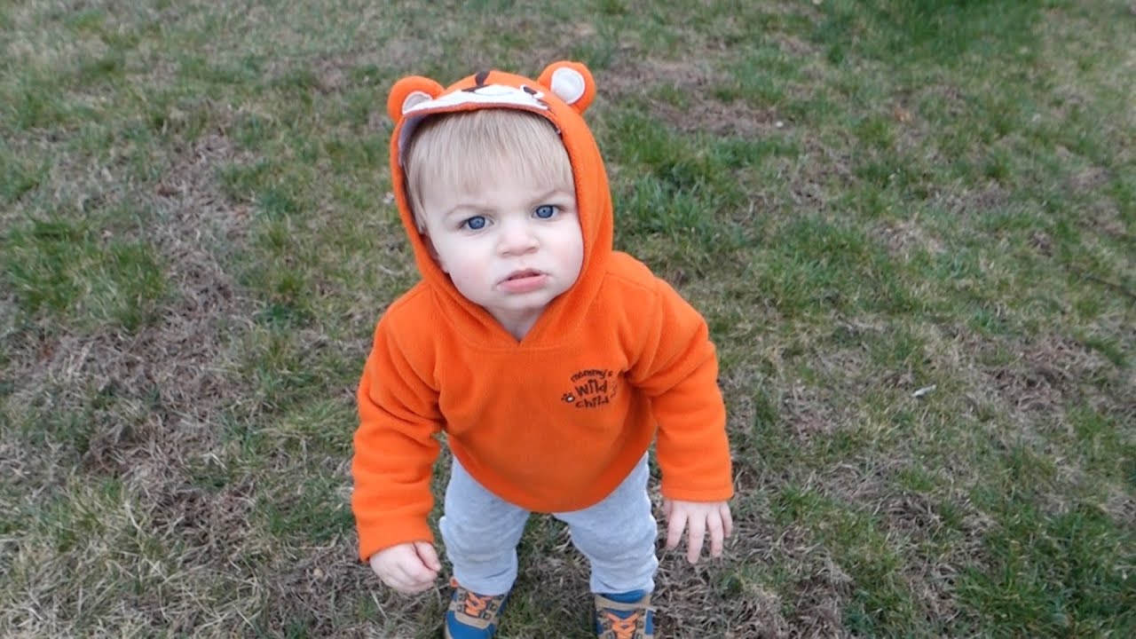 CLARK IS A CUTE JUNGLE TIGER!