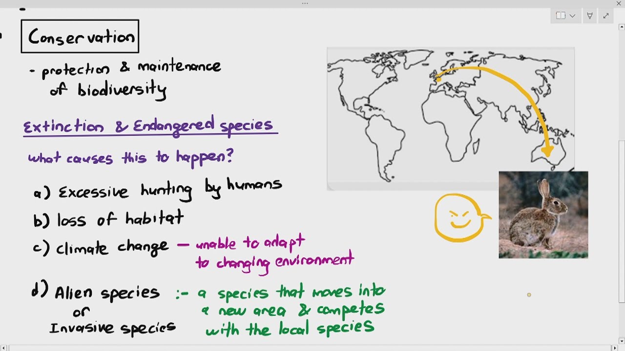 18-10 Endangered Species & Reasons for Conservation (Cambridge AS A Level Biology, 9700)
