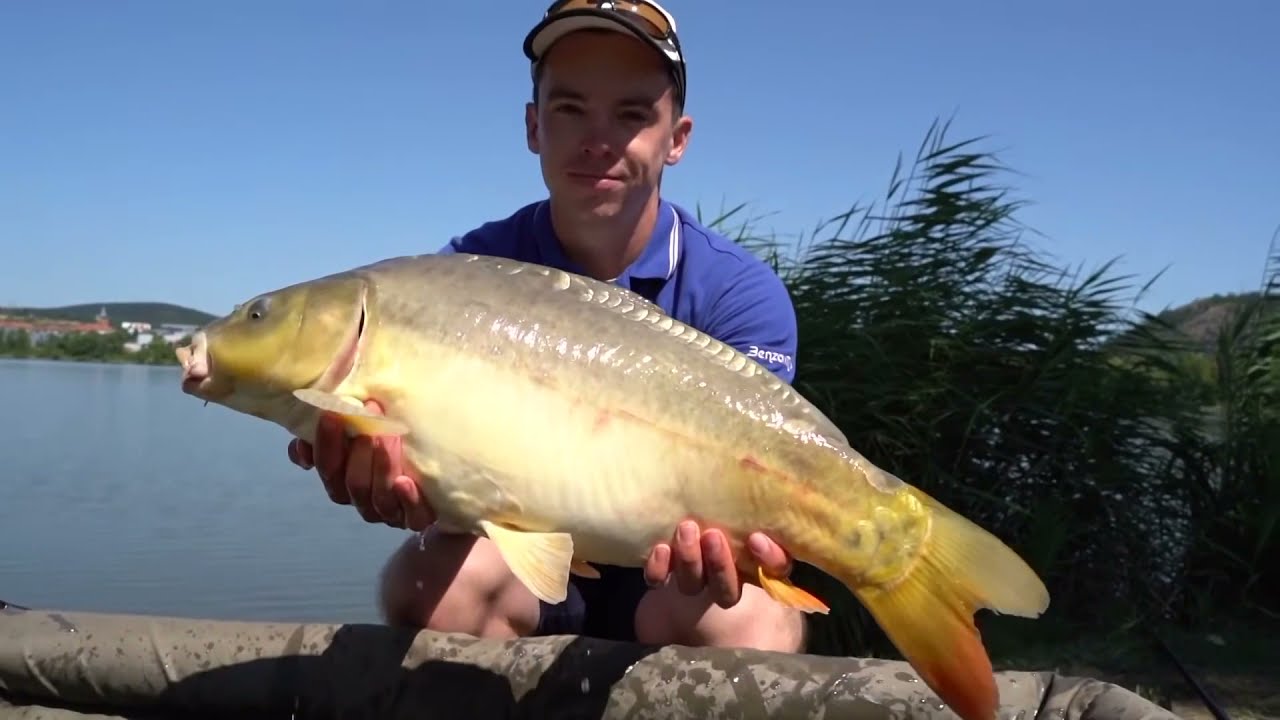 Carp Expert Prestige - Crystal - Smoke zsinór