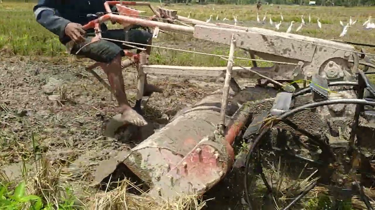 Bajak sengkal modifikasi jadi  rotary