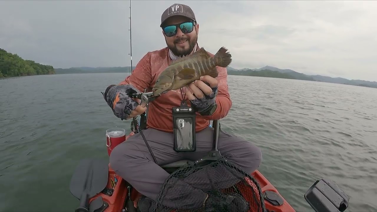 Pesca en Kayak, Isla Jesusita: Pargo, Cabrillas, Sierras y Greenjacks