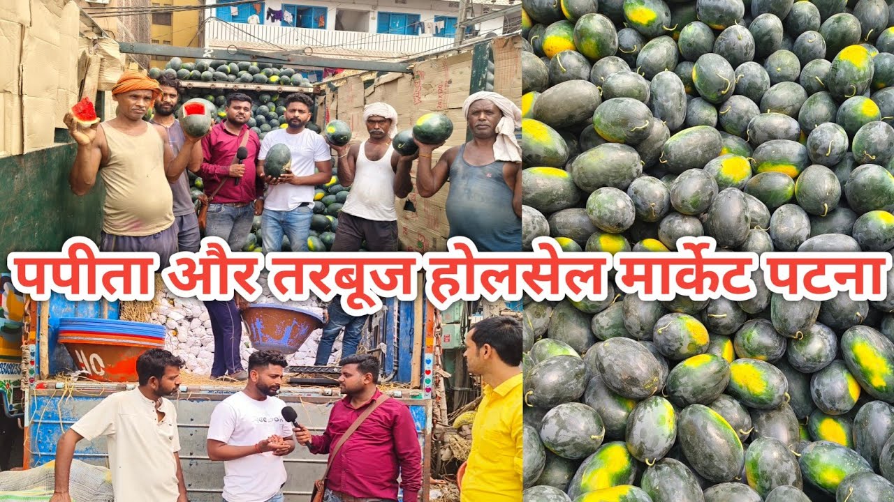 पपीता और तरबूज होलसेल मार्केट पटना | Patna Ka Fruit Market | Patna Ka Fal Mandi | Fruit Market Patna