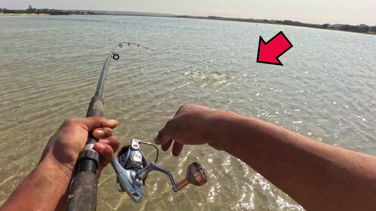 GRUNTER CHAOS ON ULTRA LIGHT RODS