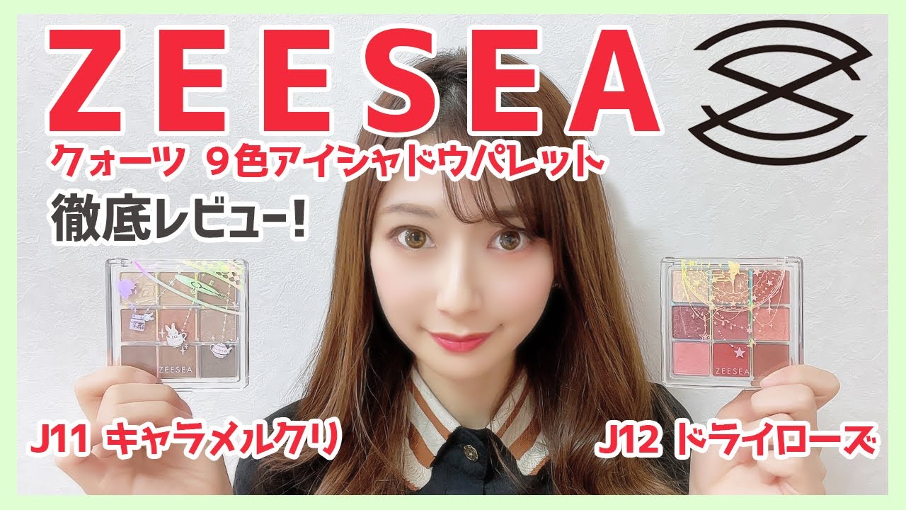 ZEESEA新作 捨て色なしの9色パレット全色使用の徹底レビュー!!