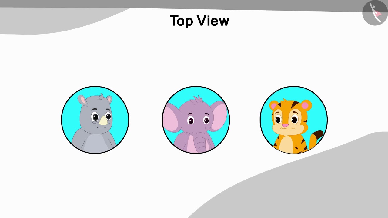 Different perspectives of 3D objects | Part 2/2 | English | Class 5