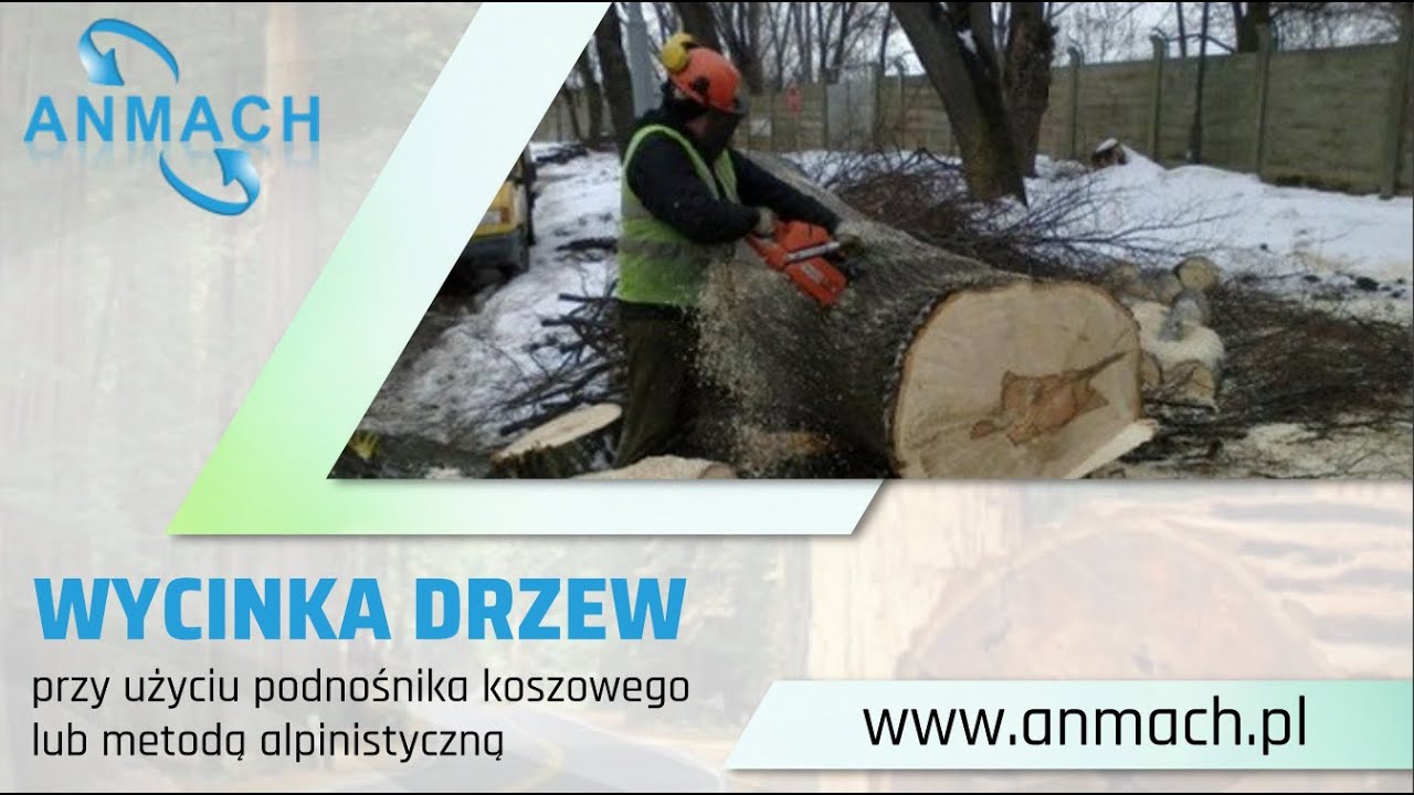 Wycinka drzew Rzesz&oacute;w Anmach