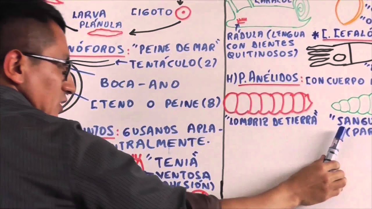 Semana 14 de Biologia Pedro Pedrozo
