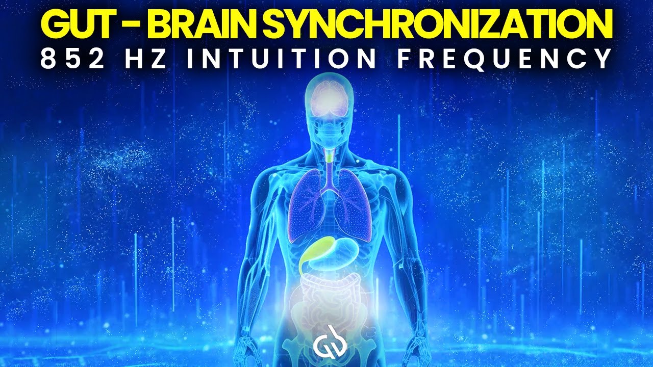 852 Hz Gut-Brain Synchronization Frequency: Boost Intuition & Sharpen Mental Clarity